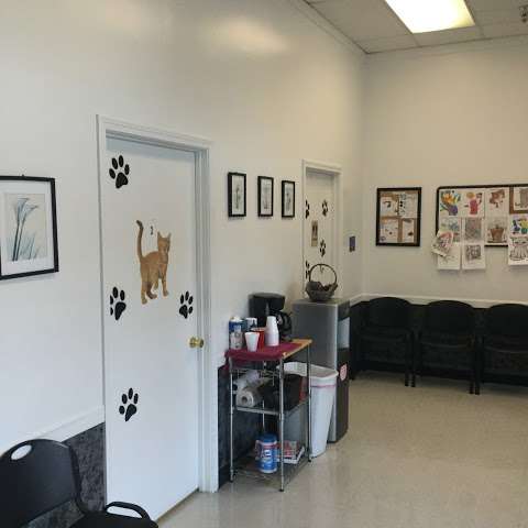 Cabarrus Emergency Veterinary Clinic Cabarrus Emergency Veterinary Clinic